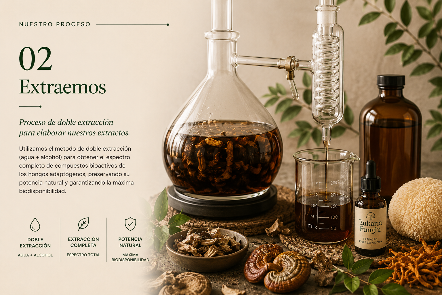 Nuestro Proceso - Paso 02: Extraemos