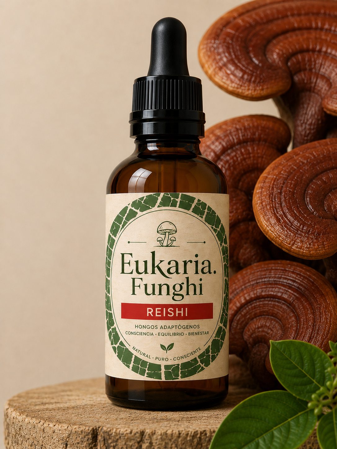 Extracto de REISHI Eukaria Funghi