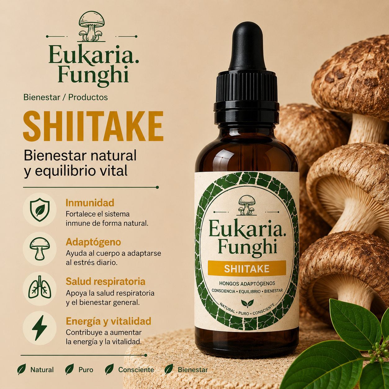 Beneficios de Shiitake Eukaria Funghi