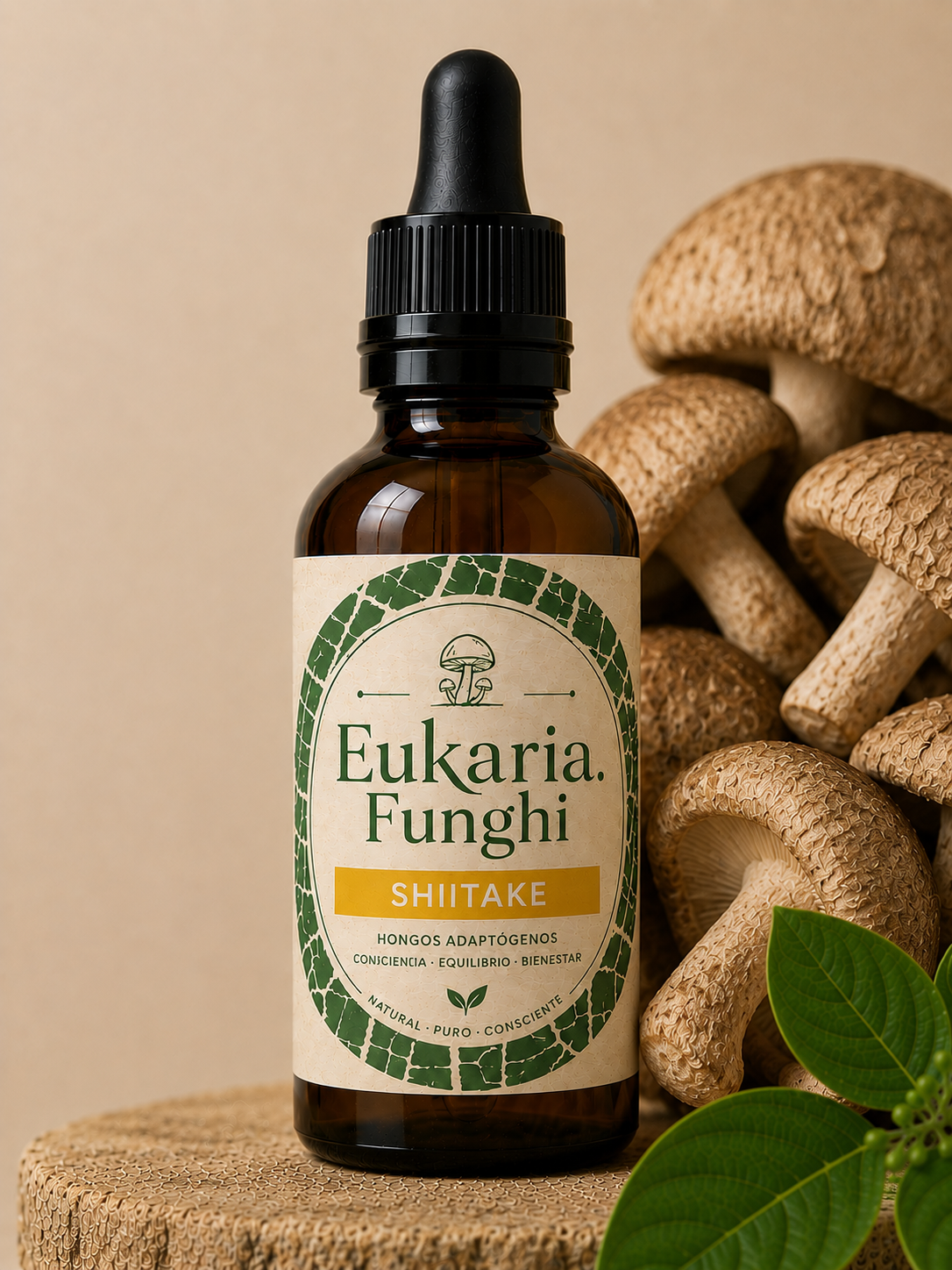 Extracto de SHIITAKE Eukaria Funghi