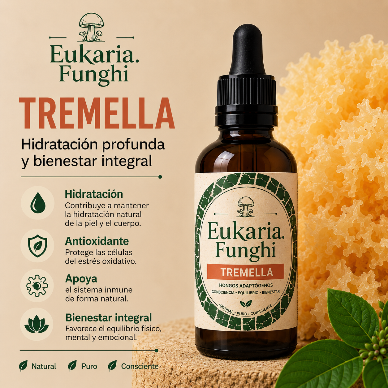 Beneficios de Tremella Eukaria Funghi