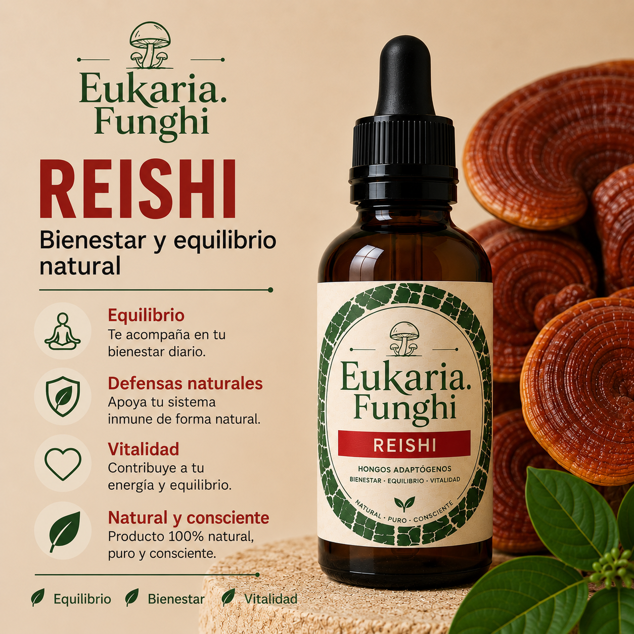 Beneficios de Reishi Eukaria Funghi