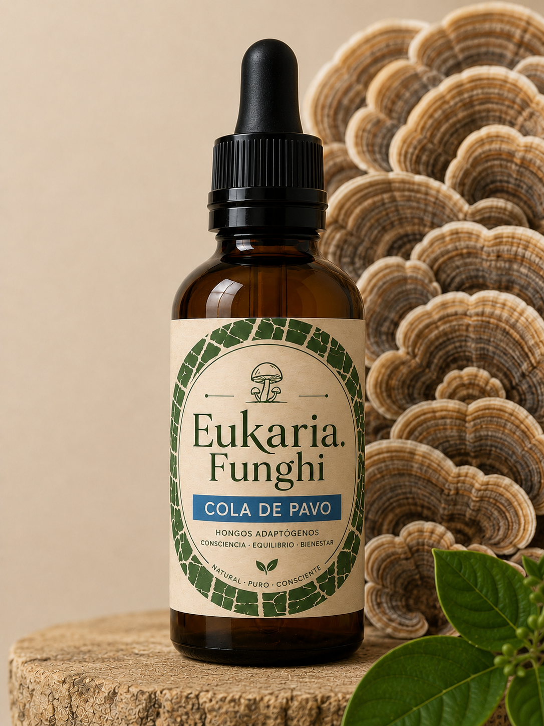 Extracto de COLA DE PAVO Eukaria Funghi