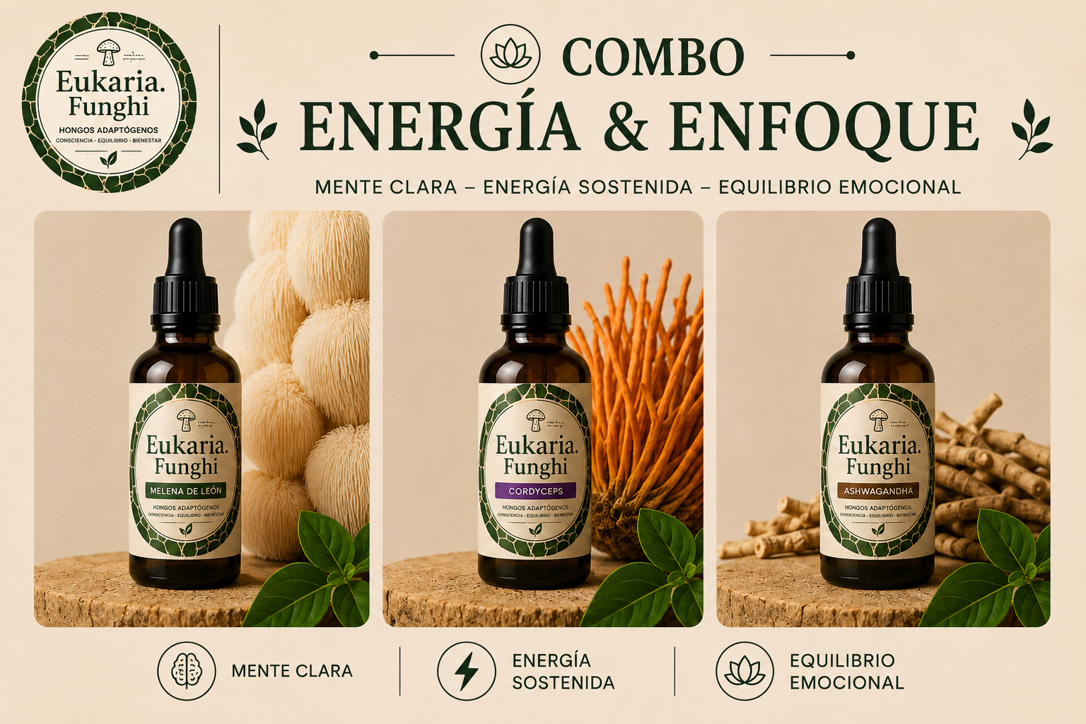 Ritual ENERGÍA & ENFOQUE Eukaria Funghi
