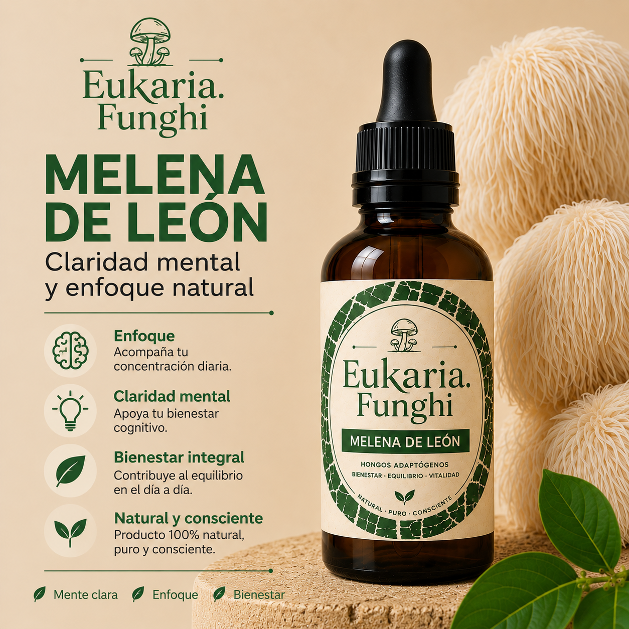 Beneficios de Melena de León Eukaria Funghi