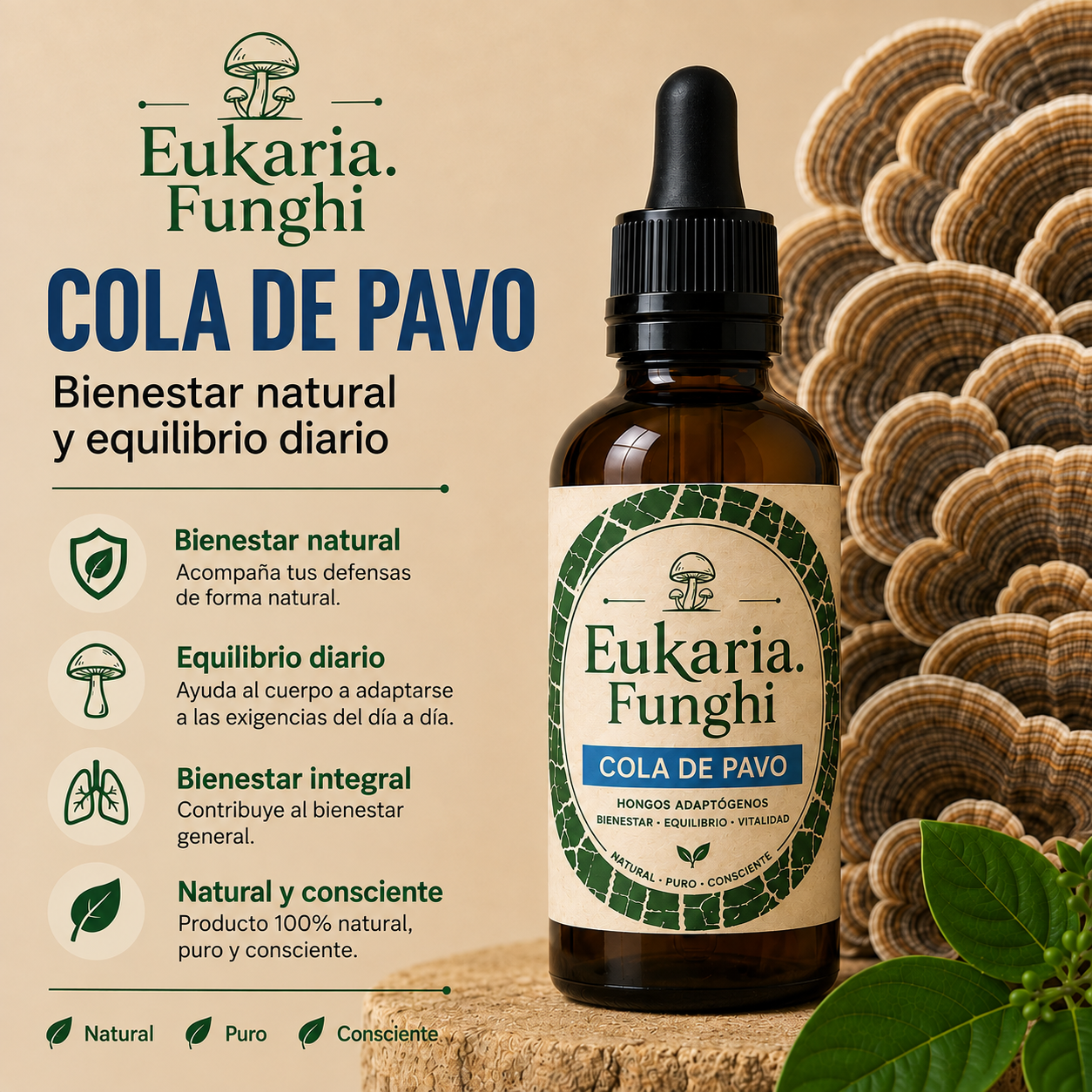 Beneficios de Cola de Pavo Eukaria Funghi