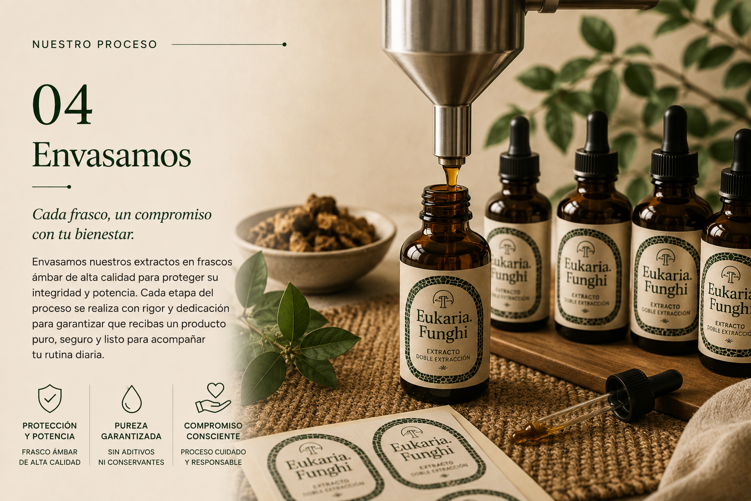 Nuestro Proceso - Paso 04: Envasamos