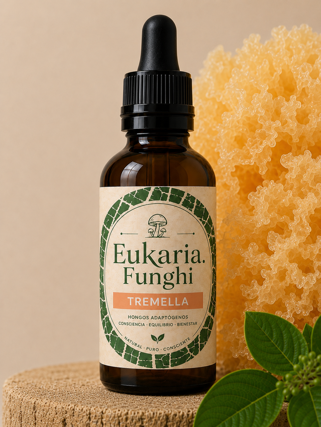 Extracto de TREMELLA Eukaria Funghi