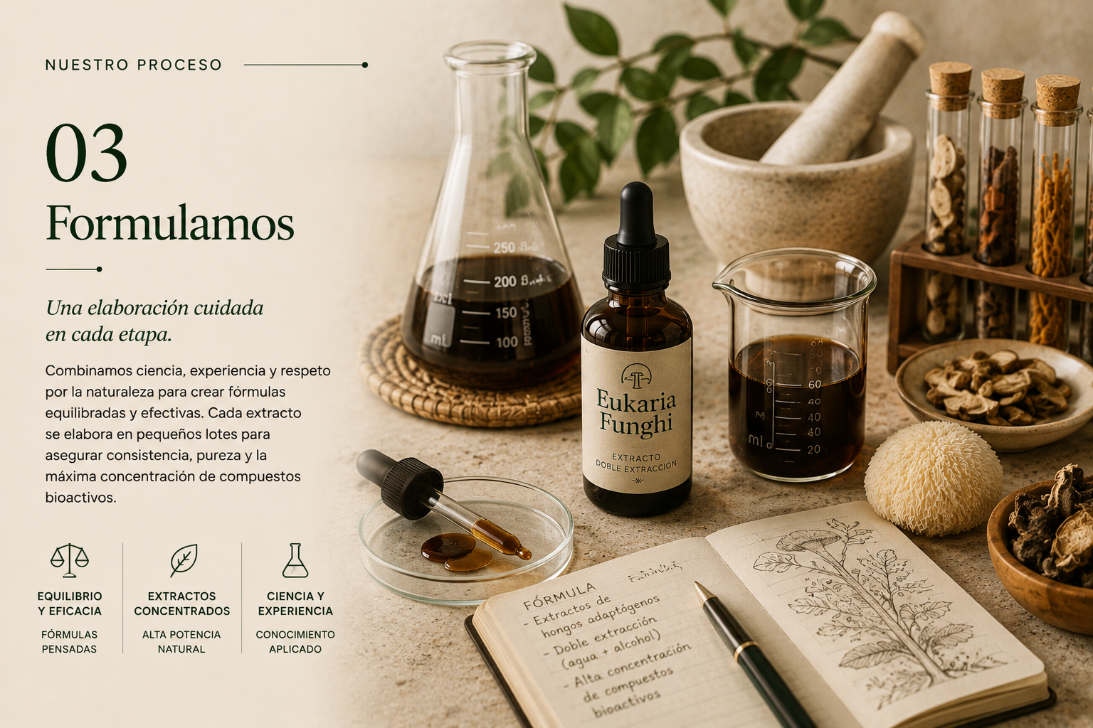 Nuestro Proceso - Paso 03: Formulamos