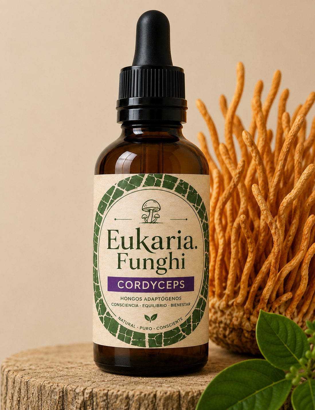 Extracto de CORDYCEPS Eukaria Funghi