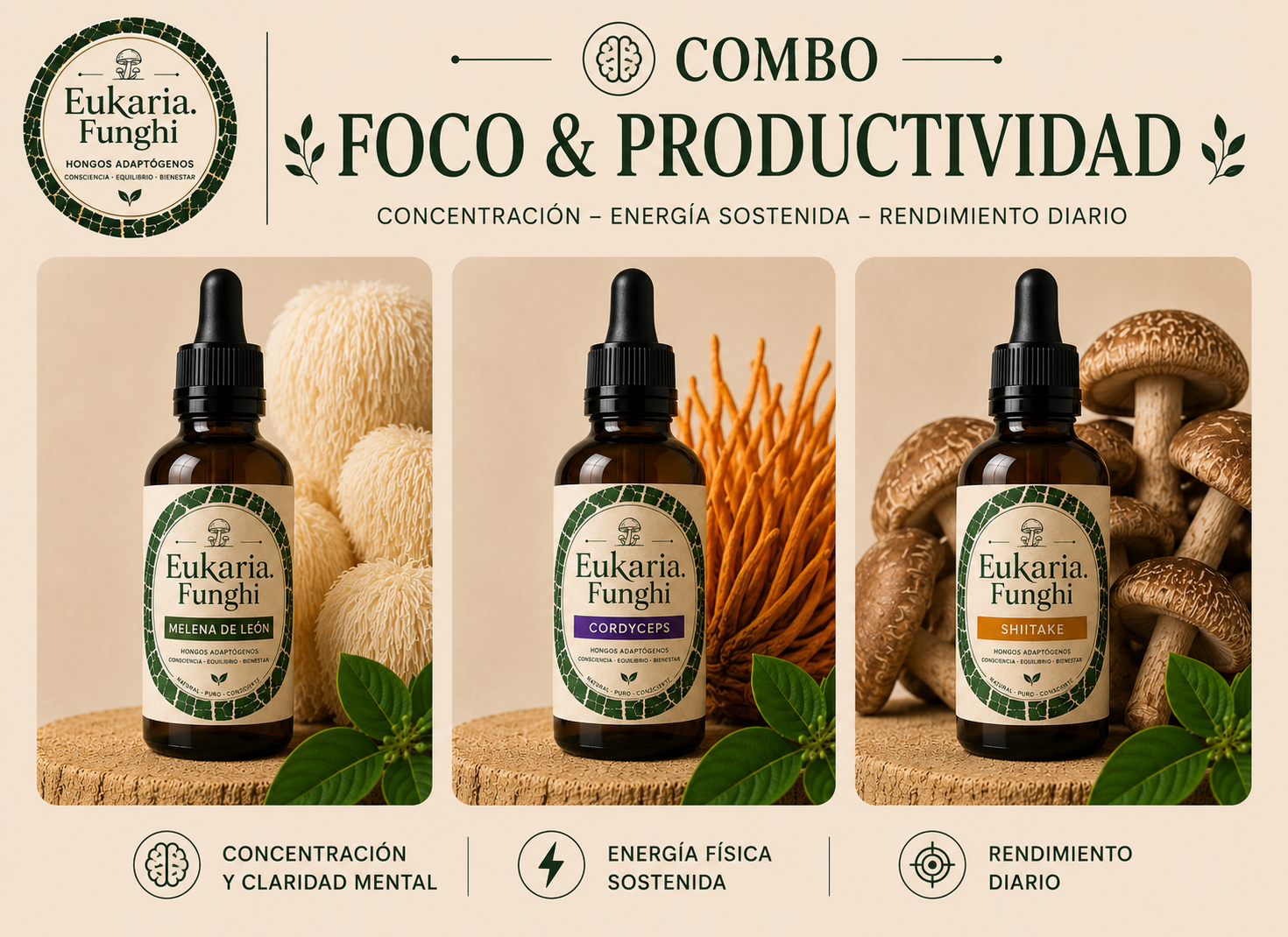 Ritual FOCO & PRODUCTIVIDAD Eukaria Funghi